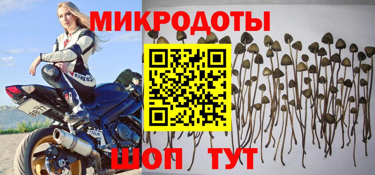 Псилоцибиновые грибы Magic Shrooms Пыть-Ях