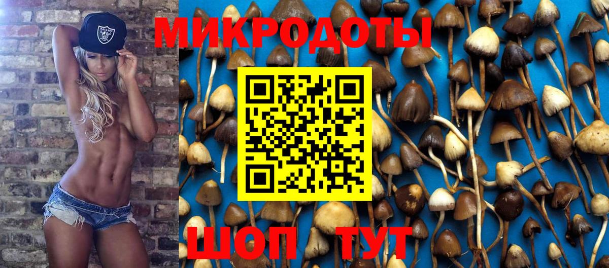 сколько стоит  Псилоцибиновые грибы ЛСД  Пыть-Ях  Вход с VPN  Галлюциногенные грибы Cubensis 